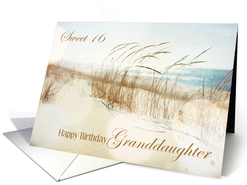 Granddaughter Birthday Card - Sweet 16 Beach card (1342326)