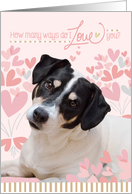 Cute Dog Valentine’s Card - How Many Ways Do I Love You card