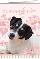 Cute Dog Valentine's...