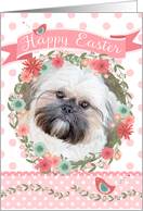 Shih Tzu Easter Card - Peach Flowers and Polka Dots card