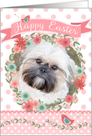 Shih Tzu Easter Card...