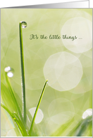 Sympathy Thank You Card - Dewdrop on a Blade of Grass card