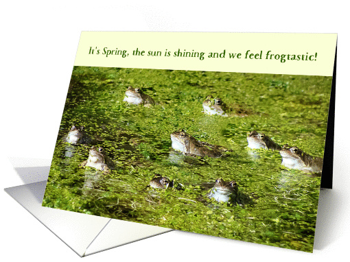 Funny Easter Card - Frogs in a Pond card (1368718)