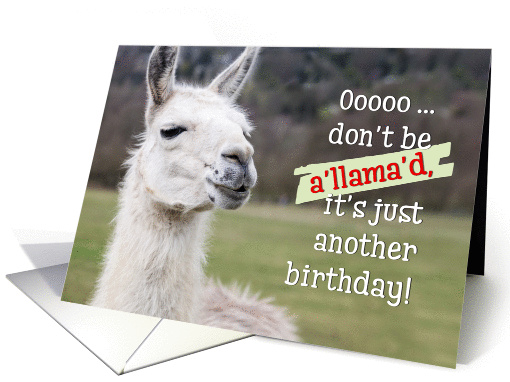 Humorous Birthday Card - The Happy Llama card (1371918)