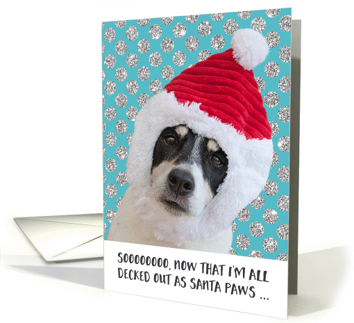 Funny Christmas Card - Dog Santa Paws Wondering about Cookies card