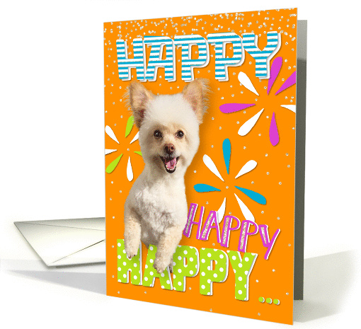 Happy Dog Birthday card (1422138)