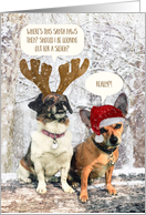 Funny Dog Christmas Card - Snowy Scene and The Santa Paws Mystery card