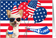 Happy 4th July Independence Day Patriotic Dog card