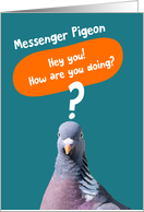 Hey You How Are You Doing - Messenger Pigeon card