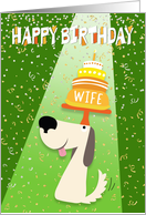 Wife Birthday Card -...