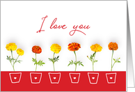 Valentine’s Day Card - Contemporary I Love You and Flowers card