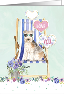Valentine’s Day - Handsome Lakeland Terrier Dog Sunglasses Deckchair card