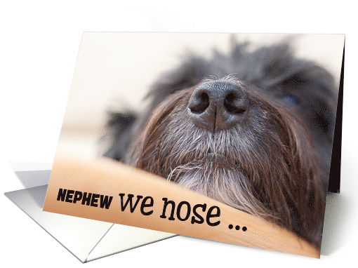 Funny Dog Birthday Card for Nephew The Dog Nose card (1573618)