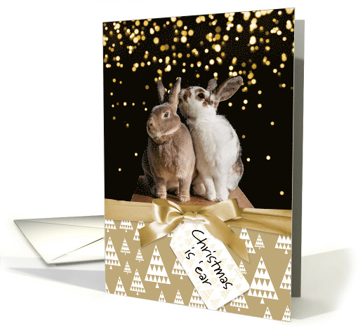 Funny Bunny Christmas card (1586712)
