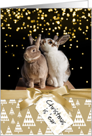 Funny Bunny Christmas card