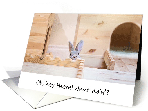 Catching Up With Old Friends Cute Bunny card (1632574)