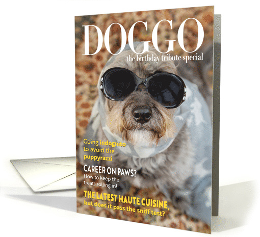 Funny Dog Magazine Cover Style Birthday Humor card (1641252)