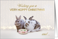 Cute Bunnies Humorous Christmas Card