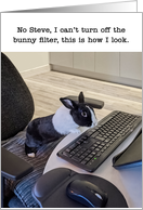 Bunny Filter Humor Birthday Wishes card