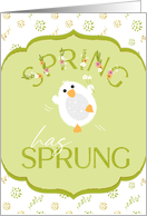 Happy Easter Cute Fluffy Little Cartoon Bird card