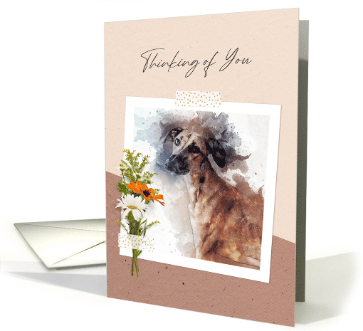 Thinking of You Golden Lurcher Dog card (1683404)