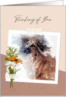 Thinking of You Golden Lurcher Dog card