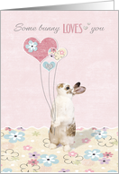 Cute Bunny Funny Valentine’s Day Some Bunny Loves You card