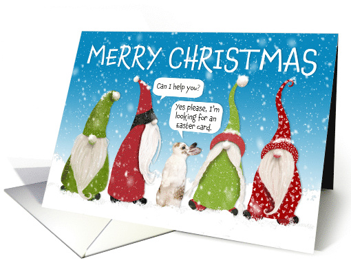 Funny Gnomes and Bunny Christmas card (1691490)