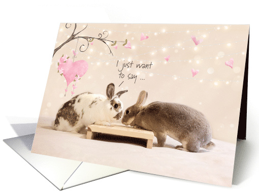 Cute Bunnies Valentine's Day card (1694576)