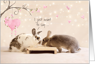 Cute Bunnies Valentine’s Day card