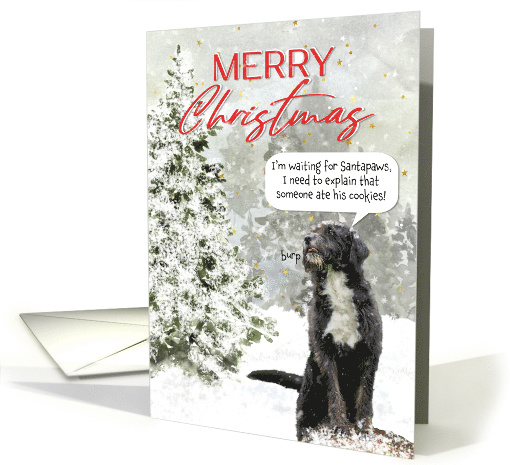 Dog Waiting for Santa Funny Christmas card (1698544)