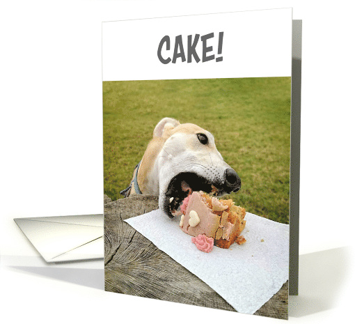 Greyhound Dog Birthday Cake card (1708020)