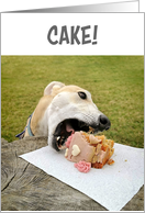 Greyhound Dog Birthday Cake card