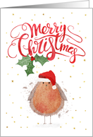 Robin Wearing a Santa Hat Christmas card