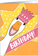 Birthday Happy Duck