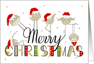 Christmas Funny Bird Characters card