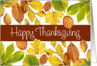 Autumn Leaves Photographic Thanksgiving card