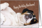 Birthday Card - Humorous Snoozing Dog card