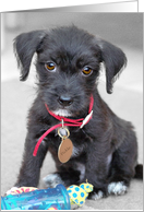 Blank Greeting Card - Cutest Tiny Pup Ever card