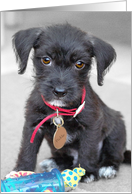 Birthday Card - Cutest Tiny Pup Ever card