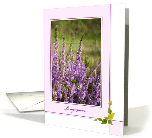 Mother's Day Card - Sunlit Heather card (794536)