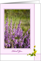 Thank You Card - Sunlit Heather card