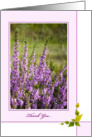 Thank You Card - Sunlit Heather card