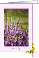 Just to say Card - Sunlit Heather card
