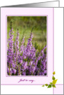 Just to say Card - Sunlit Heather card