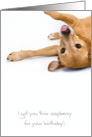 Birthday Card - Humorous Dog Sticking Out Tongue card