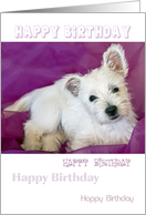 Birthday Card - Cute West Highland Terrier Puppy card