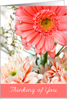 Thinking of You Card - Mixed Flowers card