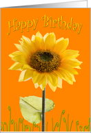 Birthday Card -...