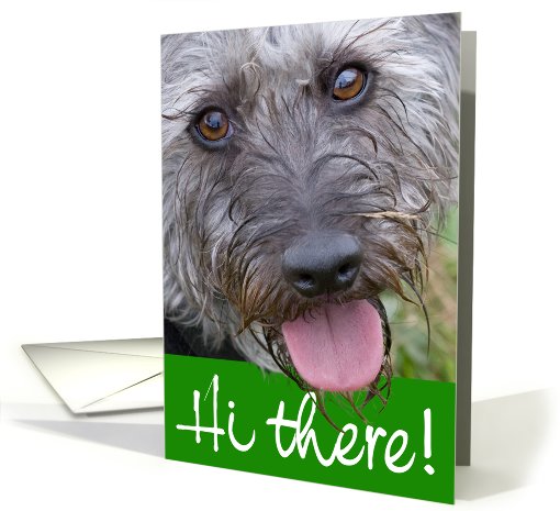 Hi / Hello Card - Scruffy Pup with Tongue Sticking Out card (796091)